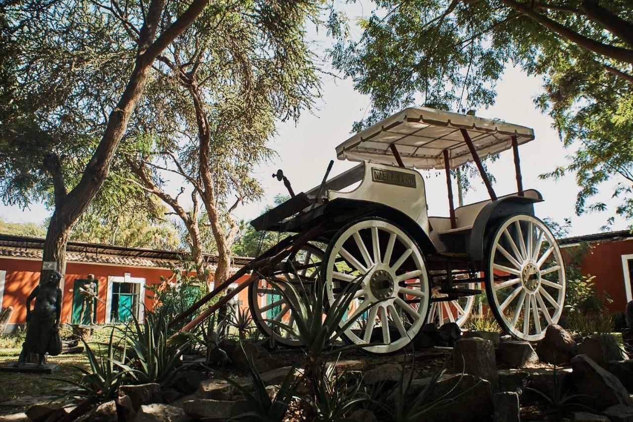 Hotel Majoro Νάζκα Εξωτερικό φωτογραφία